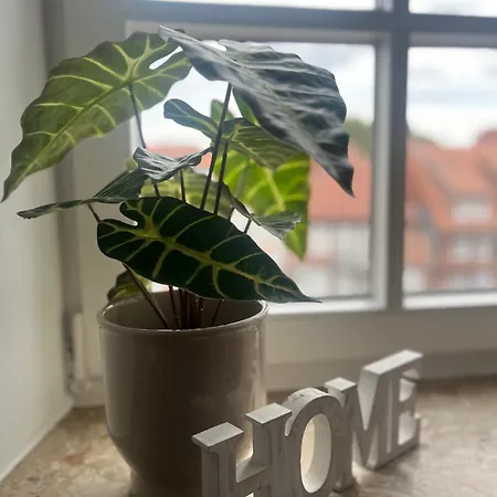 דירה Zeitapartments Am Fischmarkt שטאדה